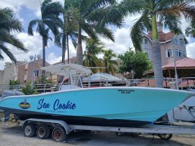 The 'Sea Cookie' speedboat is docked in Ocho Rios, Jamaica, showcasing its vibrant design against a backdrop of tropical palm trees and local architecture.