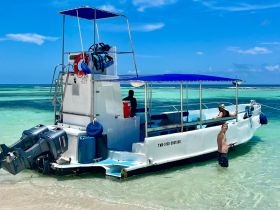 Guests enjoy a sunny day at the beach with a boat anchored nearby, capturing the essence of fun and relaxation on the water.
