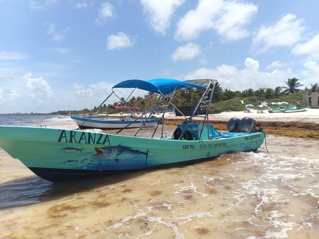Listing image 1124666