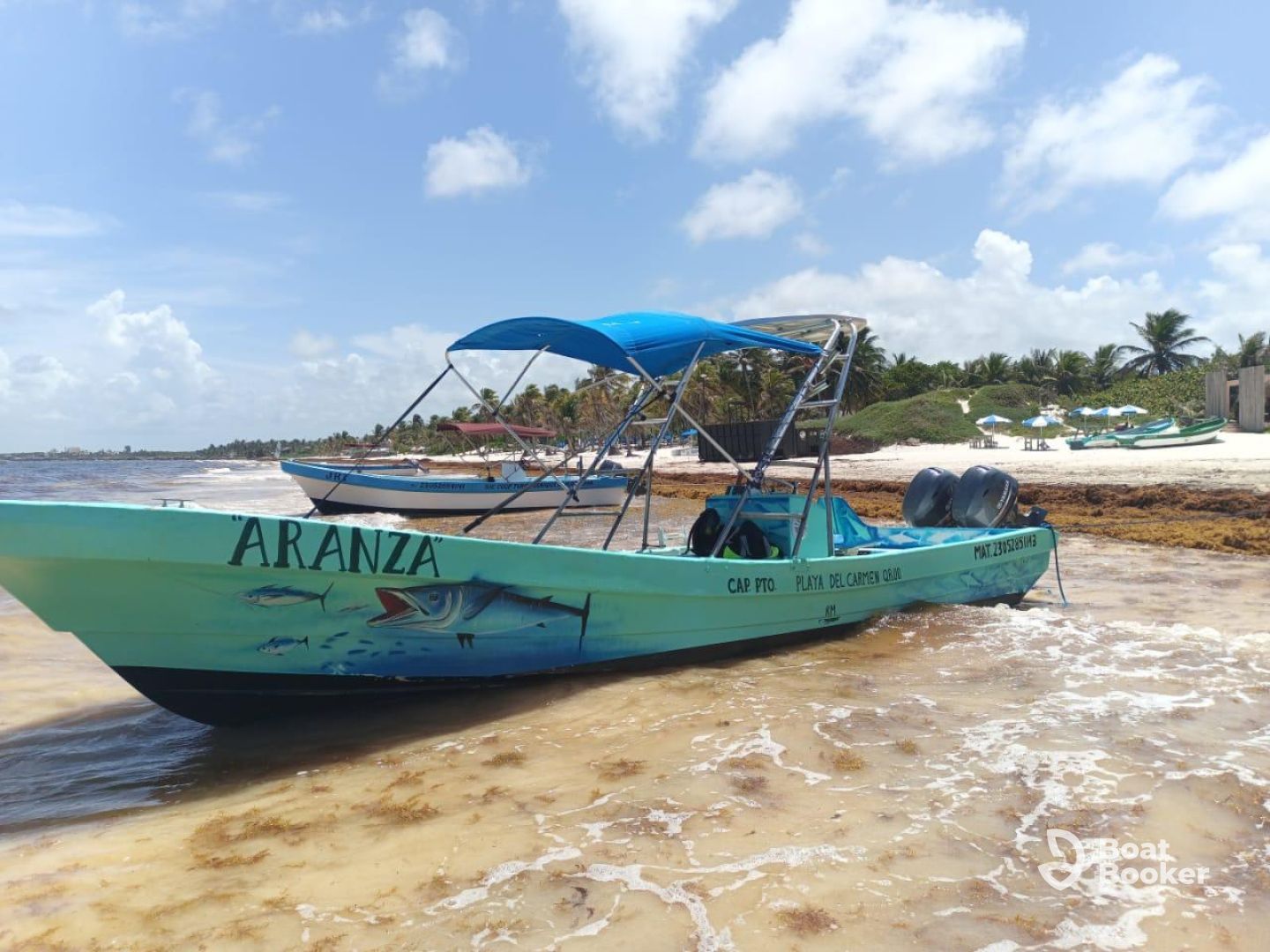 Albatros Tours Tulum