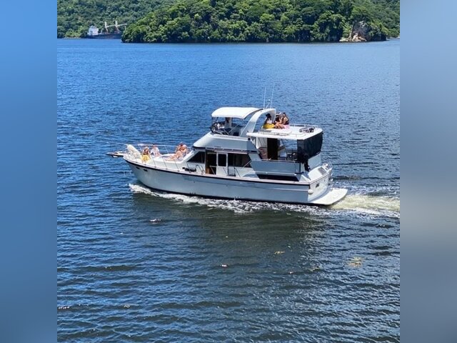 Listing image 1124669