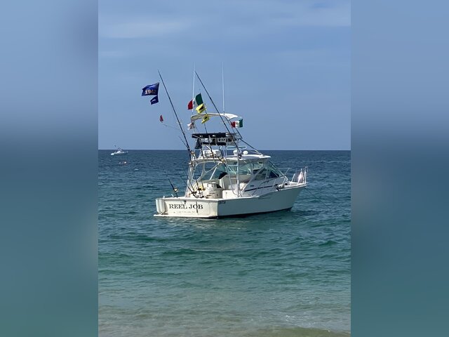 Listing image 1124740