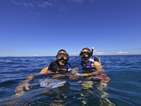 A couple enjoys snorkeling in crystal-clear waters, showcasing the beauty of marine life and the thrill of underwater exploration.