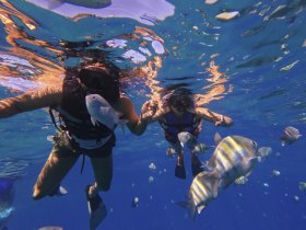 Two snorkelers interact with vibrant fish underwater, showcasing the beauty of marine life in a stunning aquatic environment.