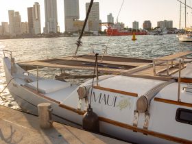 A beautiful catamaran named 'Maui' docked in the harbor, showcasing the vibrant city skyline in the background — perfect for scenic boat tours.