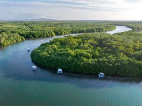 Aerial view of boats navigating through lush mangrove waterways, showcasing the serene beauty of nature and the perfect setting for eco tours or leisurely boat trips.