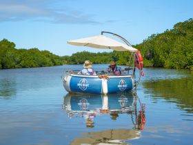 Two guests enjoy a leisurely ride on a BBQ boat through serene mangrove waterways, perfect for a relaxing day on the water.