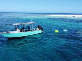 A vibrant boat named 'Dog On It' navigates through crystal-clear waters, with colorful inner tubes floating nearby, showcasing a perfect day of adventure on the water.