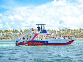 A lively group enjoys a day on the La Esperanza III boat, surrounded by beautiful beach scenery and palm trees — perfect for fun-filled excursions.