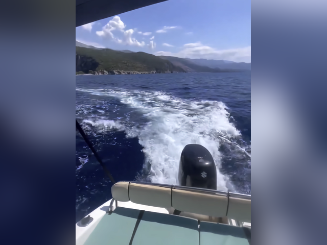 Listing image 1134221