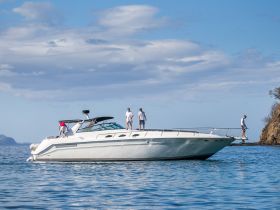 A group of friends enjoys a day on the water, engaging in fun activities aboard a sleek boat, showcasing the perfect setting for summer adventures.