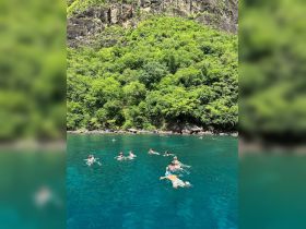 A lively group enjoys swimming and snorkeling in crystal-clear waters surrounded by lush greenery, perfect for a refreshing day on the water.