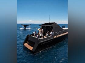 A group aboard a sleek boat enjoys a thrilling moment watching a whale breach in the distance — a perfect highlight of marine wildlife encounters.