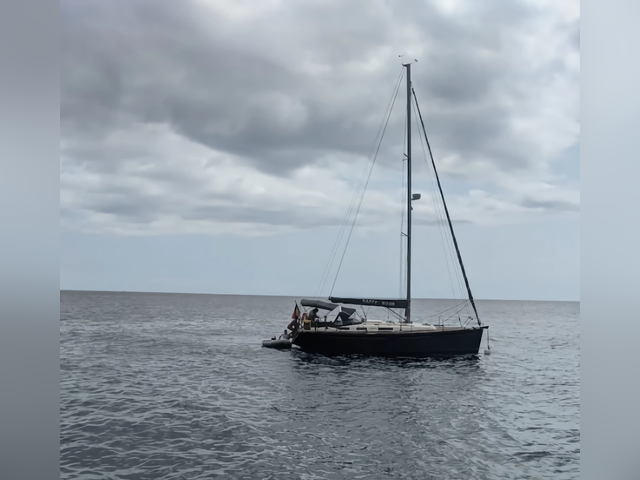Listing image 1158881