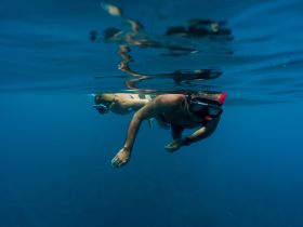 Two snorkelers explore the vibrant underwater world, showcasing the thrill of marine adventures and aquatic exploration.