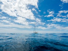 A serene view of a sailboat gliding through calm waters under a bright blue sky, perfect for showcasing the beauty of sailing adventures.
