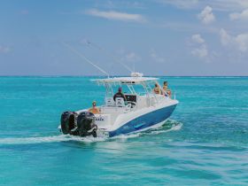 A couple enjoys a scenic ride on a boat through crystal-clear blue waters, perfect for a day of adventure on the ocean.