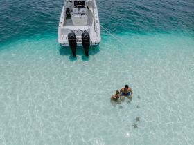 A couple enjoys a refreshing swim in crystal-clear waters, interacting with starfish while their boat, 'Miss Cassie,' is anchored nearby — a perfect day for aquatic adventures.
