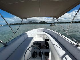 A view of the interior helm of a boat, showcasing comfortable seating and a clear perspective of the surrounding water and landscape.
