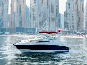 A sleek speedboat glides through calm waters, framed by a stunning skyline — perfect for exploring the vibrant coastal areas.