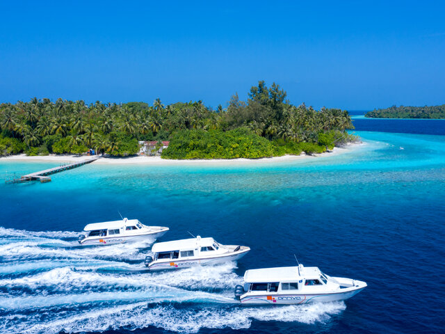 Listing image 1126002