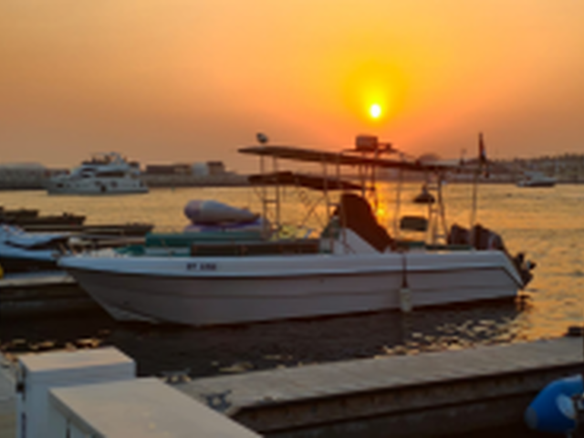 Listing image 1126056