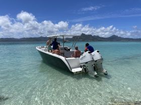 A group of friends enjoys a sunny day on a boat in crystal-clear waters, perfect for swimming and beach adventures.