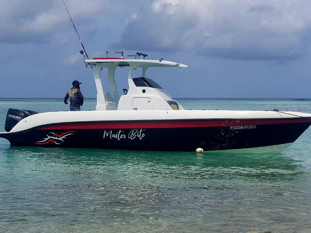 Listing image 1126258
