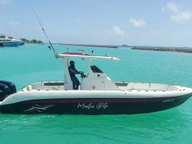 A sleek speedboat named 'Master Bite' navigates through turquoise waters, showcasing its stylish design and fishing capabilities.