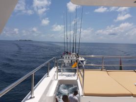 A view from the deck of a yacht underway, showcasing fishing rods and a distant island — perfect for fishing enthusiasts and scenic cruises.