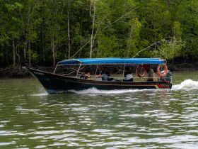 A group enjoys a scenic boat ride through lush mangroves, showcasing the beauty of nature and the thrill of on-water exploration.