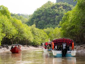 A scenic view of boats navigating through a lush mangrove area, showcasing the beauty of nature and group exploration on the water.