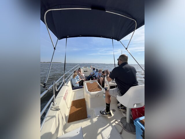 Listing image 1156397