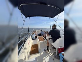 A lively group enjoys a day on the water aboard a boat, creating memorable experiences and enjoying the sun.