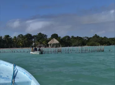 Bullshark Adventure Tours