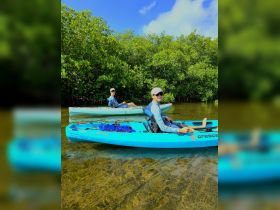 Two individuals enjoy kayaking through a serene mangrove setting, showcasing the beauty of outdoor adventures on the water.