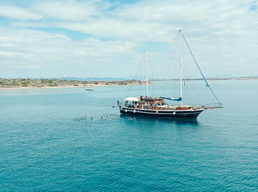 All Day Cruise – Calypso Sailing Yacht
