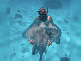 A child interacts closely with a stingray while snorkeling in crystal-clear waters, showcasing a memorable wildlife experience in the ocean.