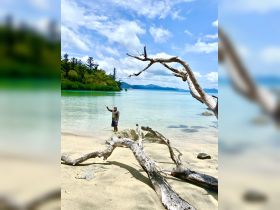 A man waves from a serene beach surrounded by lush greenery and calm waters, capturing the essence of a tranquil island getaway.