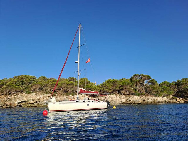 Listing image 1129055