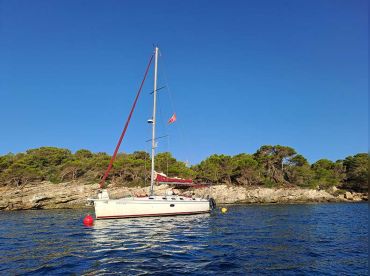 Sailing La Vida – Sailing with Drinks & Snack