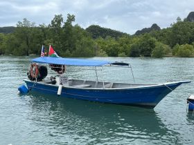 A blue boat docked in calm waters, surrounded by lush greenery, showcasing a serene boating environment.