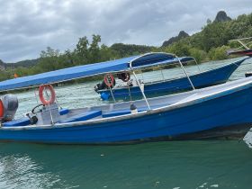 A close-up view of a blue boat docked in serene waters, surrounded by lush mangroves, perfect for exploring the natural beauty of the area.