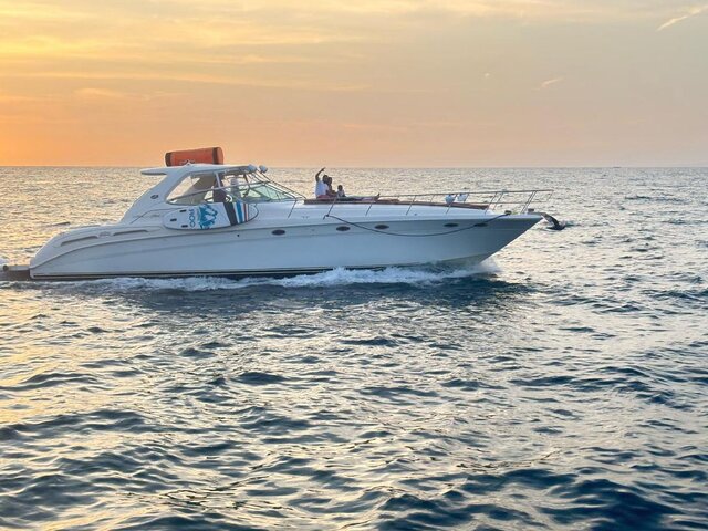 Listing image 1126950