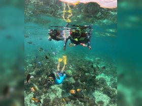 A group of snorkelers explores vibrant underwater life, surrounded by colorful fish and coral — a perfect adventure for marine enthusiasts.