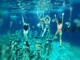 A lively group of snorkelers explores an underwater sculpture park, surrounded by colorful fish in crystal-clear waters — a perfect adventure for marine enthusiasts.