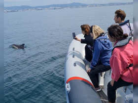 Charter Image