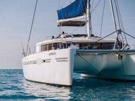 A stunning catamaran named 'Butter Fly' glides through clear waters, showcasing its sleek design and perfect for sailing adventures.