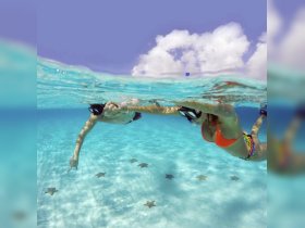 A couple enjoys snorkeling in crystal-clear waters, surrounded by starfish — a perfect underwater adventure in a tropical paradise.