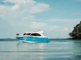 A person leans over the side of the 'Nell Princess 3' boat, enjoying the serene waters — a perfect scene for adventure seekers and boat enthusiasts.